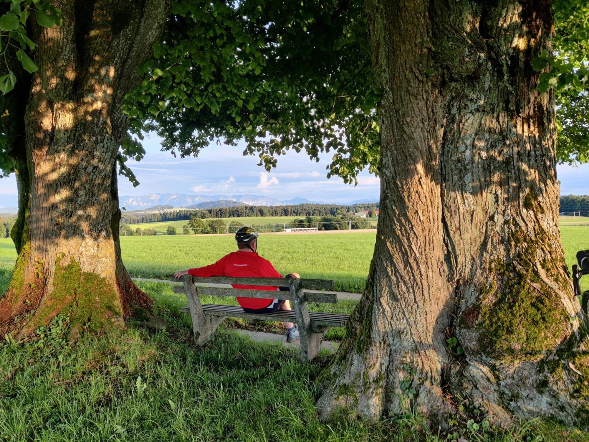 Pension Holzapfel Sankt Georgen im Attergau Exteriér fotografie